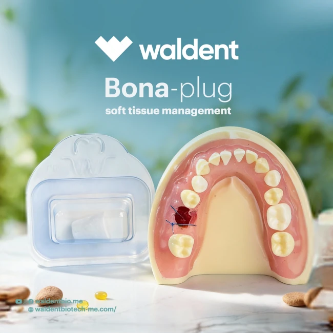 Soft Tissue Regeneration