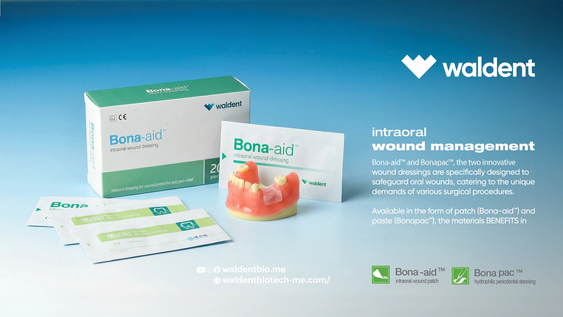 Bona-aid intra-oral wound patch